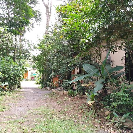 Casitas Del Bosque Monteverde. Quarto foto
